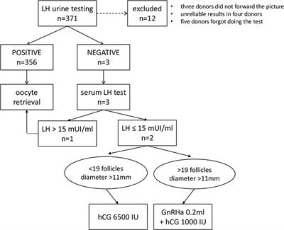 Self-Detection of the LH Surge in Urine After GnRH Agonist Trigger in IVF—How to Minimize Failure to Retrieve Oocytes